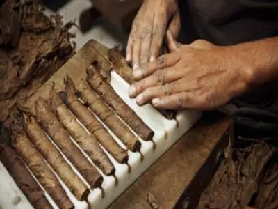 Cigars shop Australia | how are backwoods made